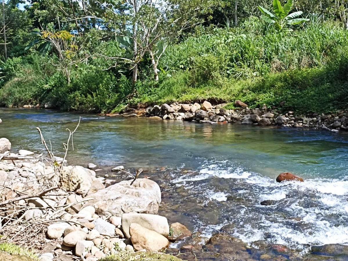 Villa Ceiba La Fortuna Exteriér fotografie