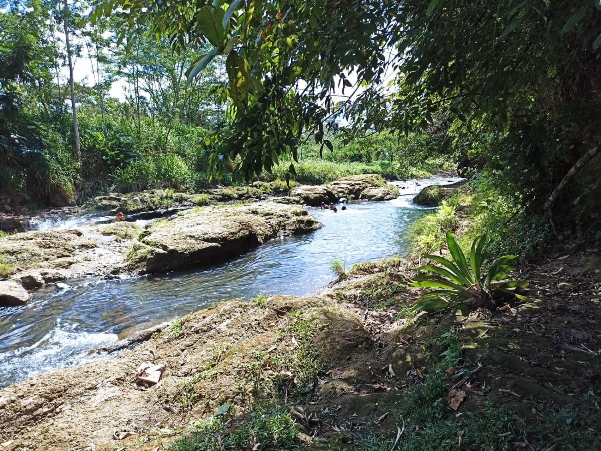 Villa Ceiba La Fortuna Exteriér fotografie