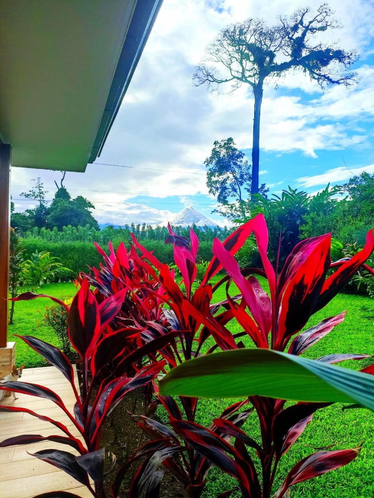 Villa Ceiba La Fortuna Exteriér fotografie