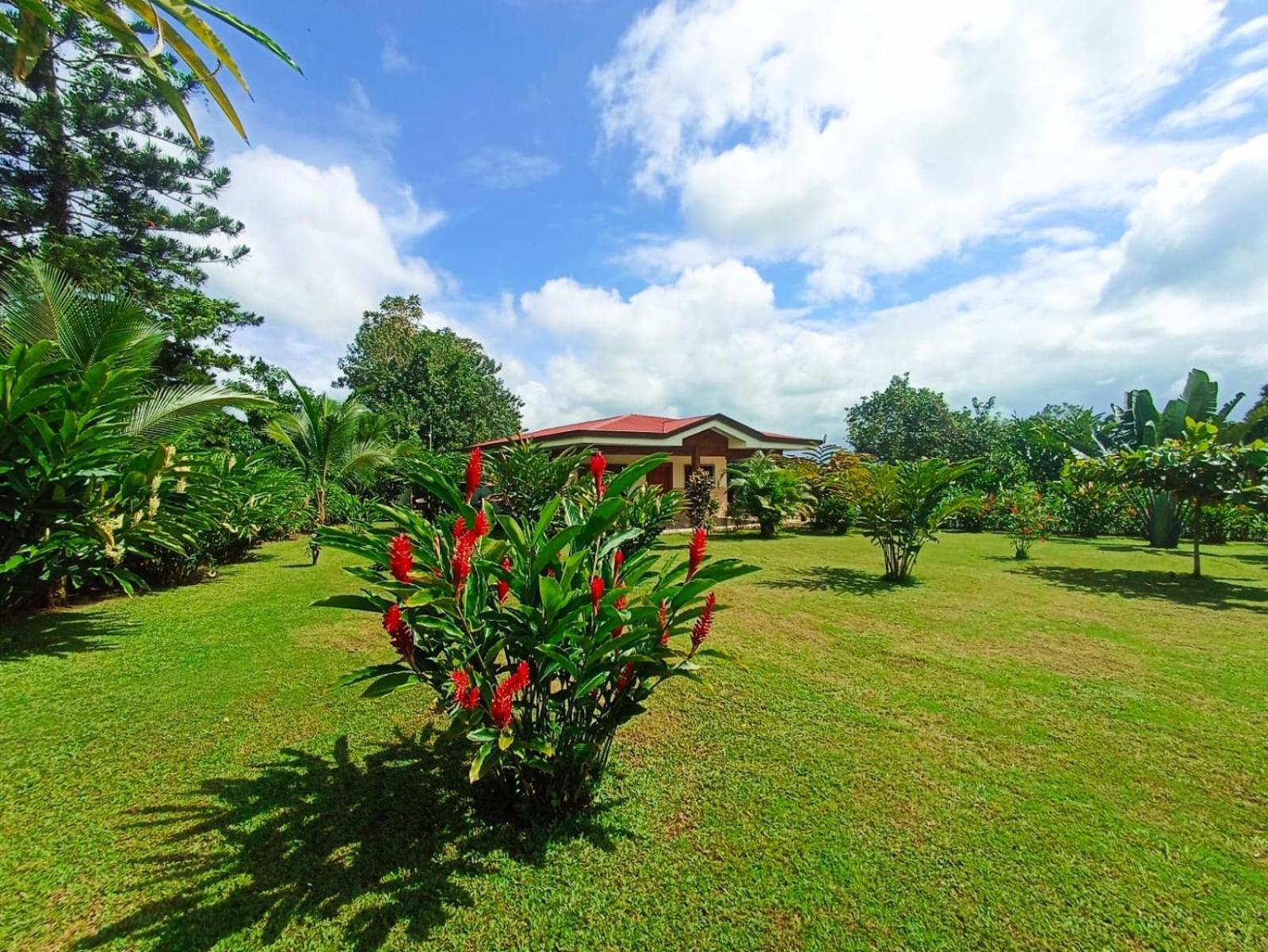 Villa Ceiba La Fortuna Exteriér fotografie