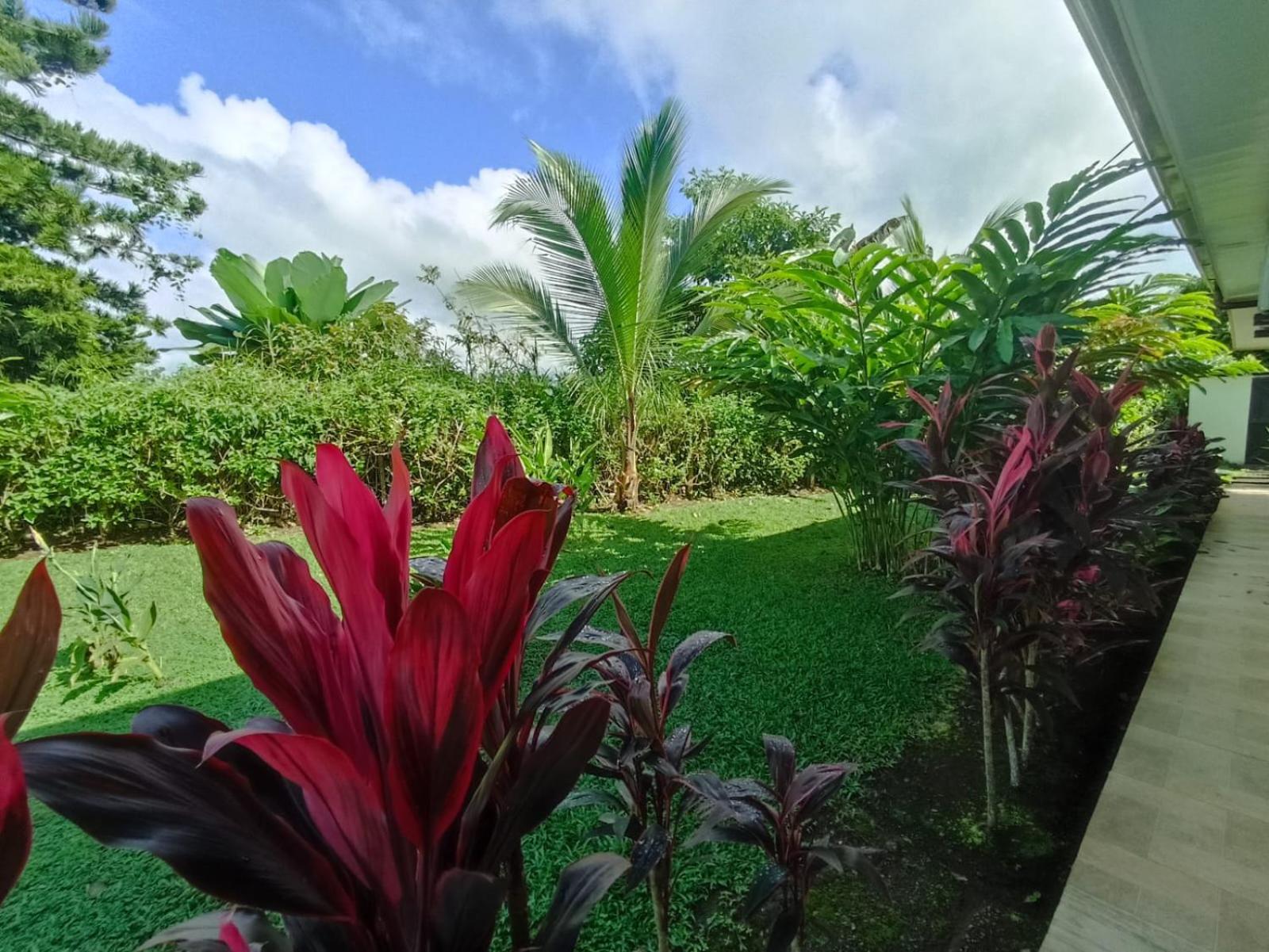 Villa Ceiba La Fortuna Exteriér fotografie